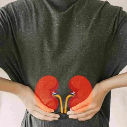 Back view of young man with kidney diagrams. 