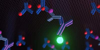 A 3D rendering illustrates a sandwich ELISA technique, where antigen detection is achieved between two layers of antibodies: a capture antibody and a detection antibody