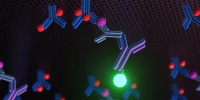 A 3D rendering illustrates a sandwich ELISA technique, where antigen detection is achieved between two layers of antibodies: a capture antibody and a detection antibody