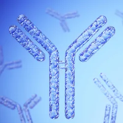 A close-up of a transparent antibody on a blue background.