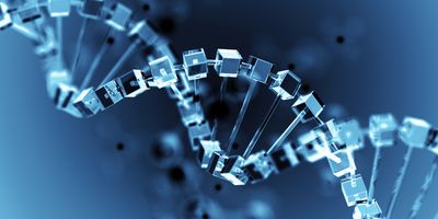 A genomic sequence rendered as a series of crystalline glass blocks and conduits.