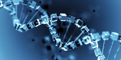 A genomic sequence rendered as a series of crystalline glass blocks and conduits.