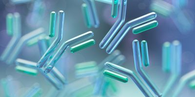 Illustration of translucent Y-shaped antibodies floating in a soft blue and green background, representing antibody research, development, and biomedical science.