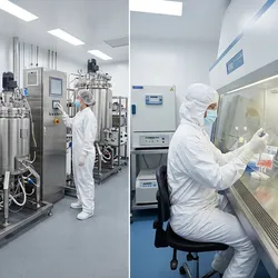 Three side-by-side manufacturing environments showing a viral vector production suite, an autologous cell therapy cleanroom, and an mRNA LNP manufacturing line representing the three distinct manufacturing paradigms in advanced therapy production.