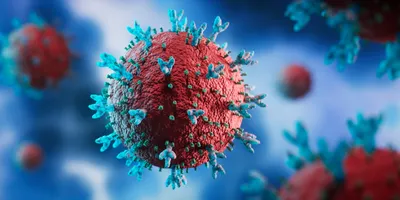 Coronavirus mutation - omicron variant B.1.1.529 and Ba.2 - 3D Illustration