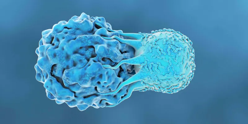 A blue-colored T cell attacks a blue cancer cell