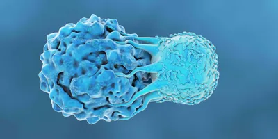 A blue-colored T cell attacks a blue cancer cell