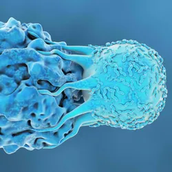 A blue-colored T cell attacks a blue cancer cell