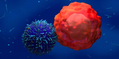 Illustration of a chimeric antigen receptor (CAR) T cell interacting with a cancer cell to represent targeted immune cell therapy.