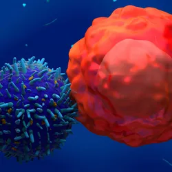Illustration of a chimeric antigen receptor (CAR) T cell interacting with a cancer cell to represent targeted immune cell therapy.