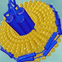 3D illustration of a membrane protein embedded within a lipid nanodisc, representing a native-like environment used for membrane protein stabilization and characterization.
