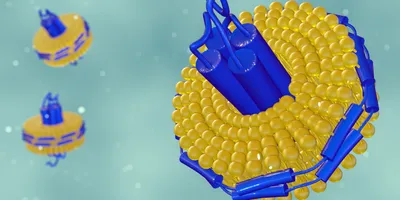 3D illustration of a membrane protein embedded within a lipid nanodisc, representing a native-like environment used for membrane protein stabilization and characterization.
