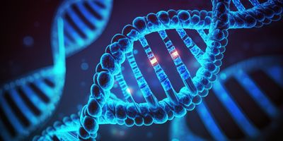 Image of DNA being edited.