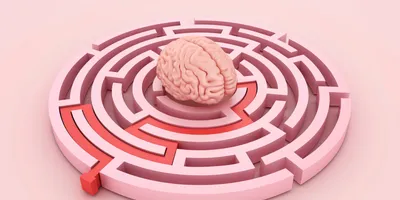 3D Brain within a Maze, with a red line leading to the exit