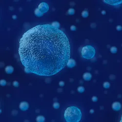 Illustration of multiple three-dimensional patient-derived organoids suspended against a dark blue background, representing tumor models used in precision oncology research.
