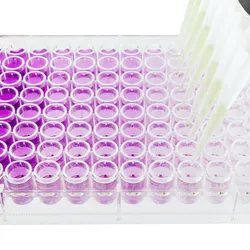 Multichannel pipette dispensing a serial dilution into a 96-well microplate.
