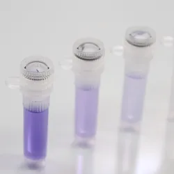 Serial dilution series in microcentrifuge tubes showing progressively decreasing concentrations of a purple solution.