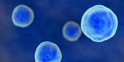 Close up illustration of human cells.