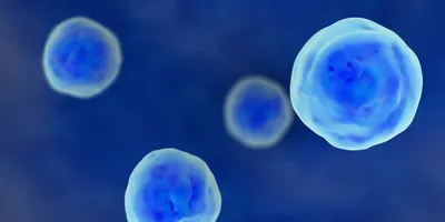 Close up illustration of human cells.