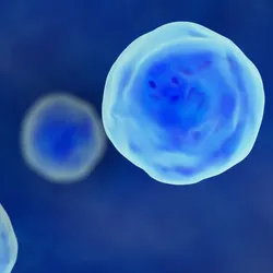 Close up illustration of human cells.