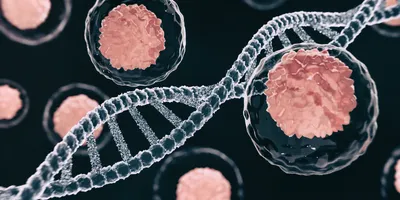 A detailed 3D image of cells alongside a DNA helix structure.