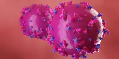 Illustration of CAR T cells showing chimeric antigen receptors distributed across the cell surface.