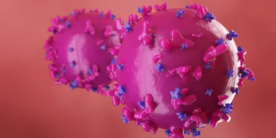 Illustration of CAR T cells showing chimeric antigen receptors distributed across the cell surface.