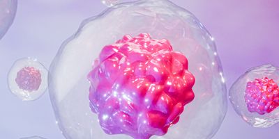 Stylized three-dimensional rendering of multicellular spheroids enclosed within transparent structures.