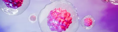 Stylized three-dimensional rendering of multicellular spheroids enclosed within transparent structures.