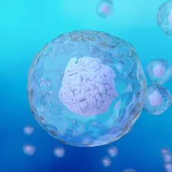 Illustration of translucent spherical cell structures containing compact organoid-like cell clusters suspended against a blue background.