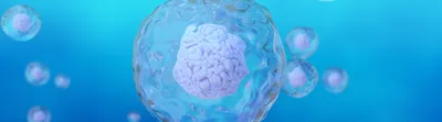 Illustration of translucent spherical cell structures containing compact organoid-like cell clusters suspended against a blue background.