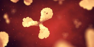 3D rendering of a Y-shaped antibody molecule surrounded by blurred molecular structures against a red background.