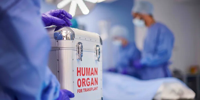 A health care worker with gloves holding a metal box that says Human Organ For Transplant on it.