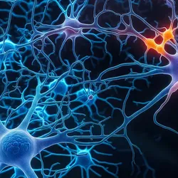 A 3D illustration of a biological neural network with blue neurons and brightly glowing orange synaptic highlights.