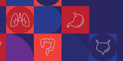 Colorful geometric graphic panel featuring white line illustrations of the human heart, brain, kidneys, pancreas, lungs, stomach, uterus, colon, and bladder, arranged in a grid of red, blue, and purple shapes.