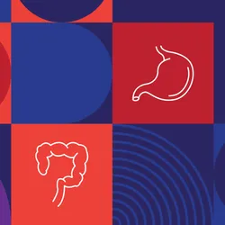 Colorful geometric graphic panel featuring white line illustrations of the human heart, brain, kidneys, pancreas, lungs, stomach, uterus, colon, and bladder, arranged in a grid of red, blue, and purple shapes.