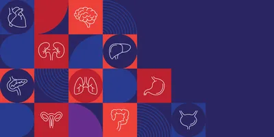 Colorful geometric graphic panel featuring white line illustrations of the human heart, brain, kidneys, pancreas, lungs, stomach, uterus, colon, and bladder, arranged in a grid of red, blue, and purple shapes.