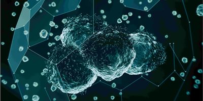 A cyan-colored cell with lines and data points overlaid on top.