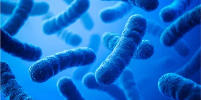 3D image of bacterium on a blue background. 
