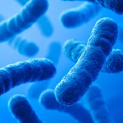 3D image of bacterium on a blue background.