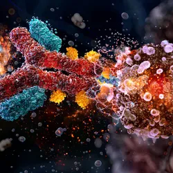 A 3D representation of antibody drug conjugate.