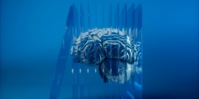 Brain image being divided by slides on a blue background.