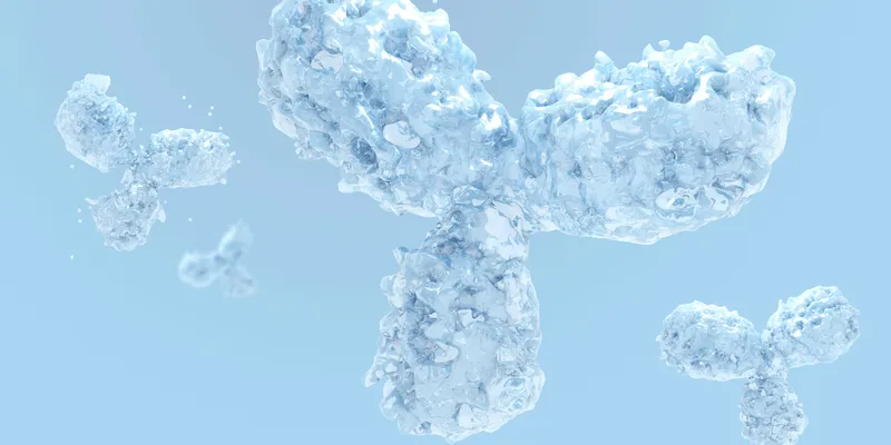 Illustration of antibody molecules 