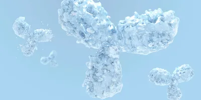 Illustration of antibody molecules 