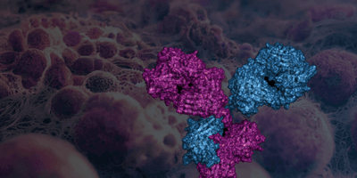 3D molecular render of an antibody structure in magenta and blue, set against a background of textured cancer cells.