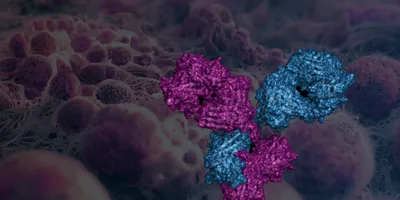 3D molecular render of an antibody structure in magenta and blue, set against a background of textured cancer cells.