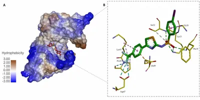 Molecular docking model of DSA3 thiazolyl sulfonamide inhibitor bound to the Staphylococcus aureus thymidine kinase ATP-binding pocket, showing key amino acid interactions.