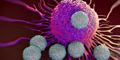 An illustration of T-cells attacking a cancer cell.