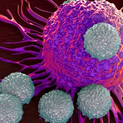 An illustration of T-cells attacking a cancer cell.
