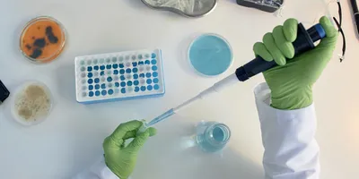 Top view of a laboratory researcher wearing green gloves and using a pipette to transfer liquid at a bench surrounded by other laboratory equipment.